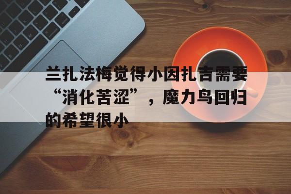 开云体育-兰扎法梅觉得小因扎吉需要“消化苦涩”，魔力鸟回归的希望很小的简单介绍